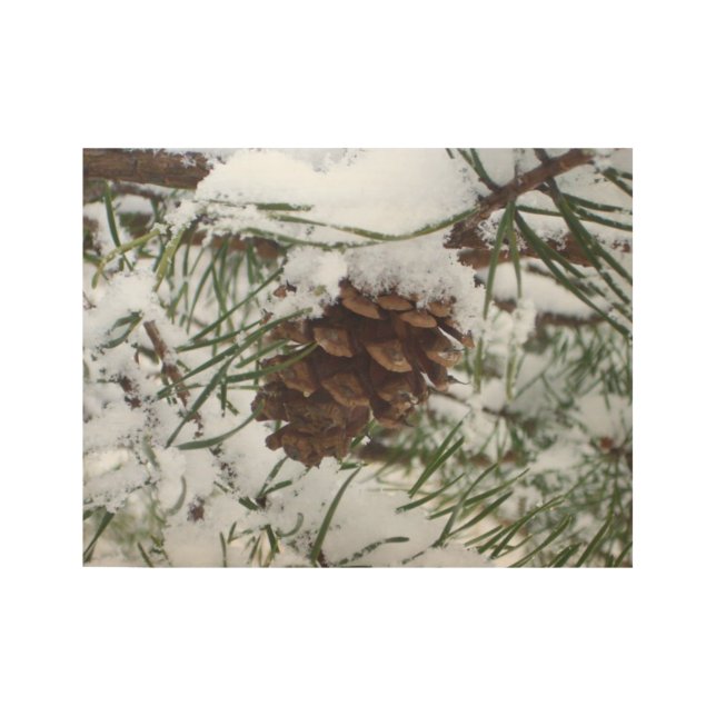 Poster En Bois Snowy Pine Cône I Winter Nature Photographie (Devant)