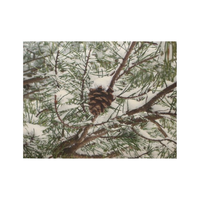 Poster En Bois Snowy Pine Cône II hiver Photographie de la nature (Devant)