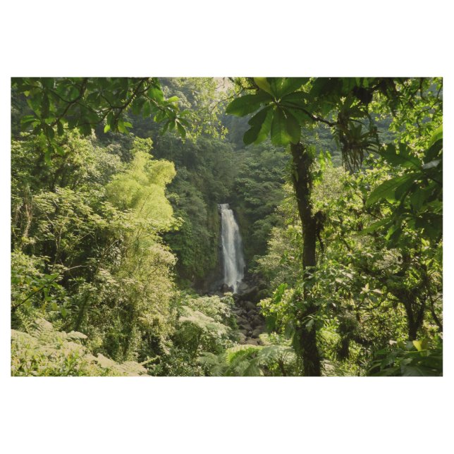 Poster En Bois Trafalgar Falls Tropical Rainforest Photographie (Devant)