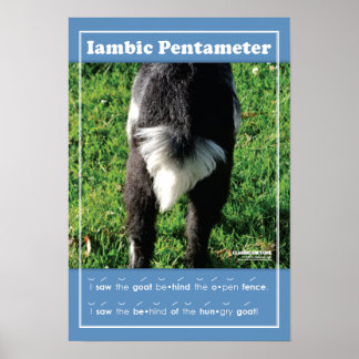 Poster en classe Iambic Pentameter 13" x 19"
