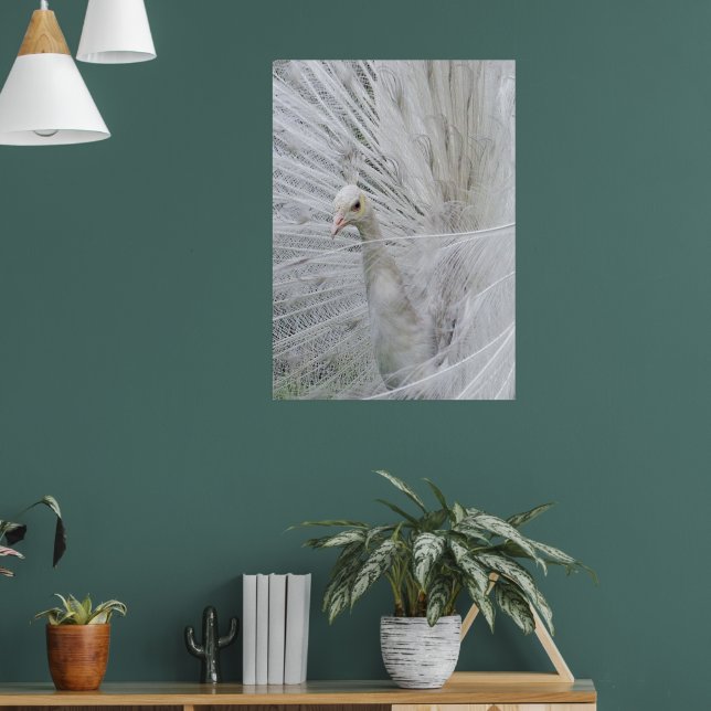 Poster en dentelle blanche (Salon 1)