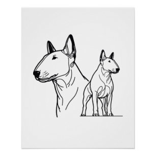 Poster en ligne Bull Terriers
