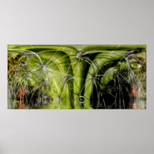 Poster en médecine tribale