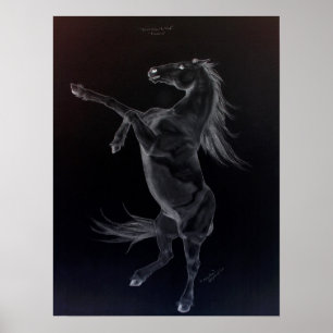 Poster en noir et blanc Friesian Rearing