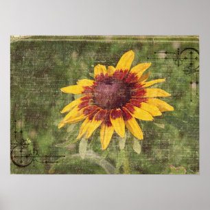 Poster Encore une Fleur