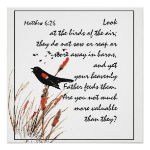 Poster Encourager l'écriture biblique Matthew Bird of Air