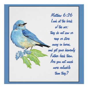 Poster Encourager l'écriture biblique Matthew Bluebird