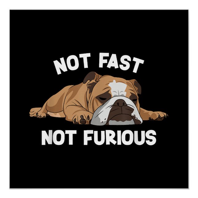 Poster English Bulldog Sleeping Not Fast Not Furious Funn (Devant)