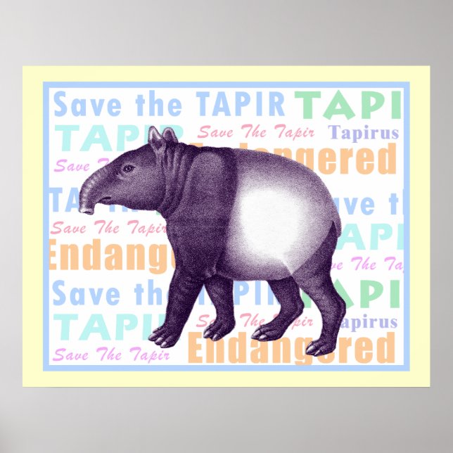 Poster Enregistrer l'affiche Tapir - Tapir asiatique (Devant)