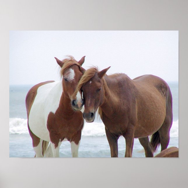 Poster Ensemble (Devant)
