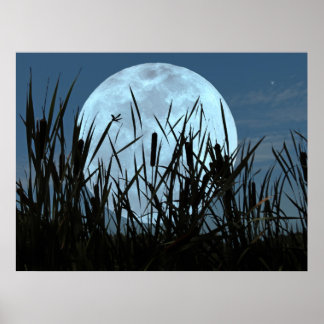 Poster entre Moon et Marsh