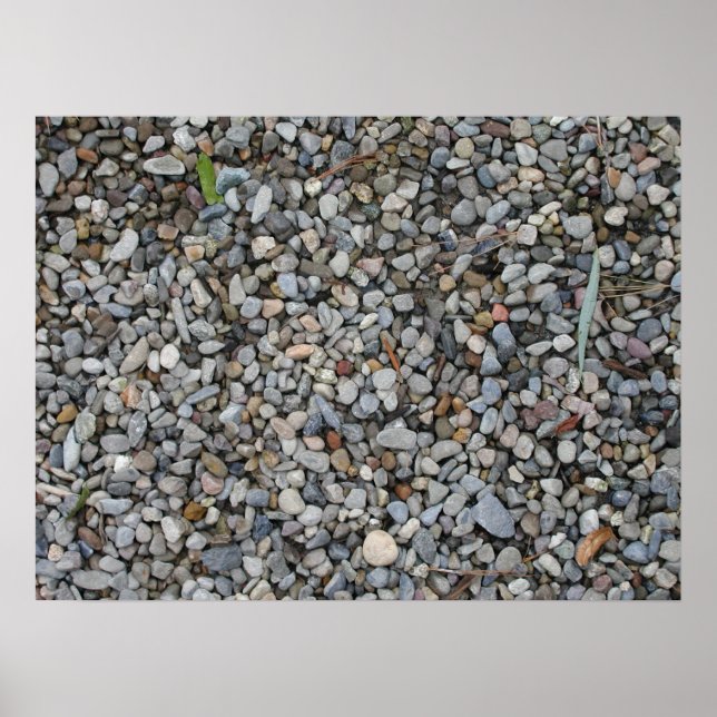 Poster Entropie (Devant)