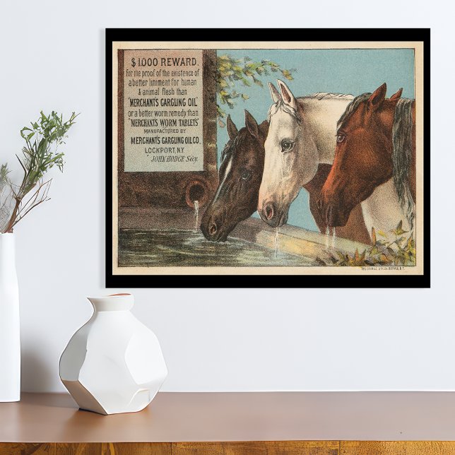 Poster Éphémère de publicité pour chevaux de ferme buvant (Créateur téléchargé)