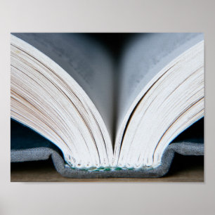 Poster Épine de livre (affiche)