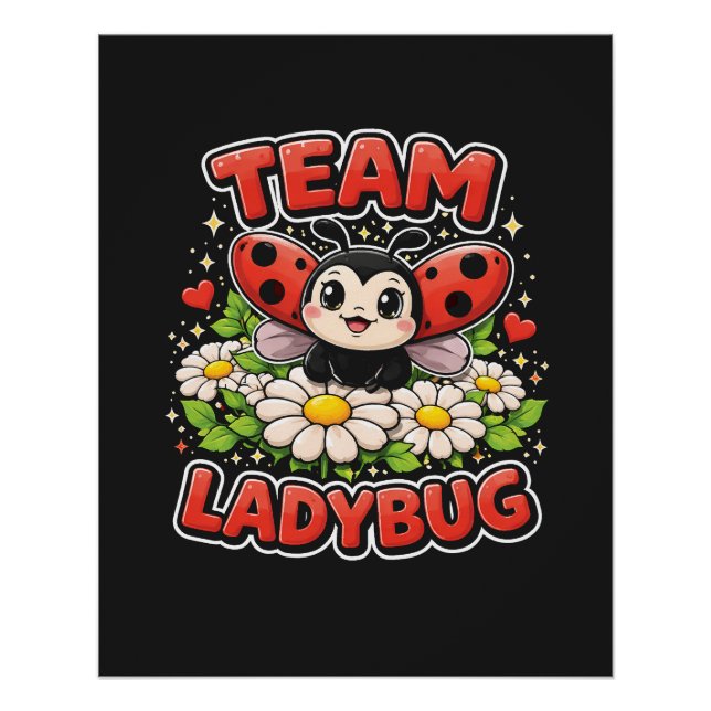 Poster Équipe Ladybug (Devant)