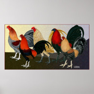 Poster Équipe Rooster Dream