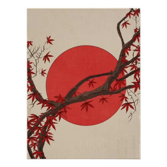 Poster Érable japonais (Devant)