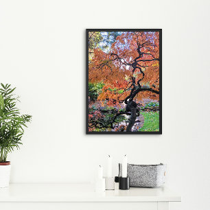 Poster Érable Japonais à Feuilles Laciniées Botanique