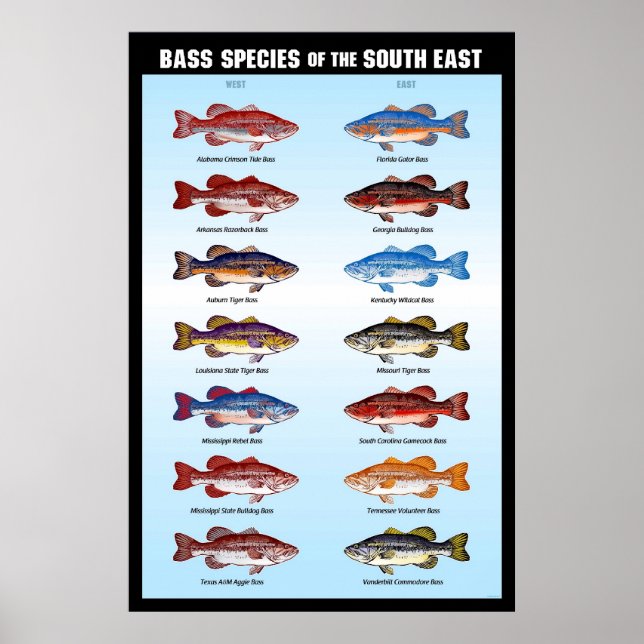 Poster Espèces de basse du Sud-Est (Devant)