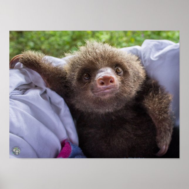 Poster Espresso (Devant)