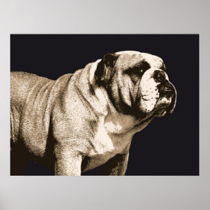 Poster Esprit de bouledogue