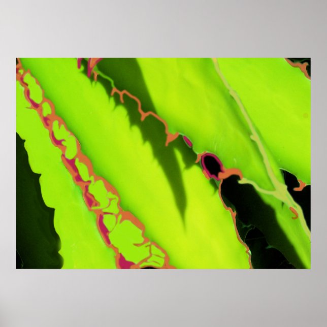 POSTER ET IMPRIMANTES (Devant)