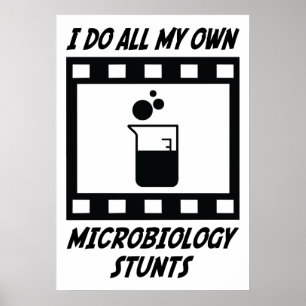 Poster Étapes de microbiologie