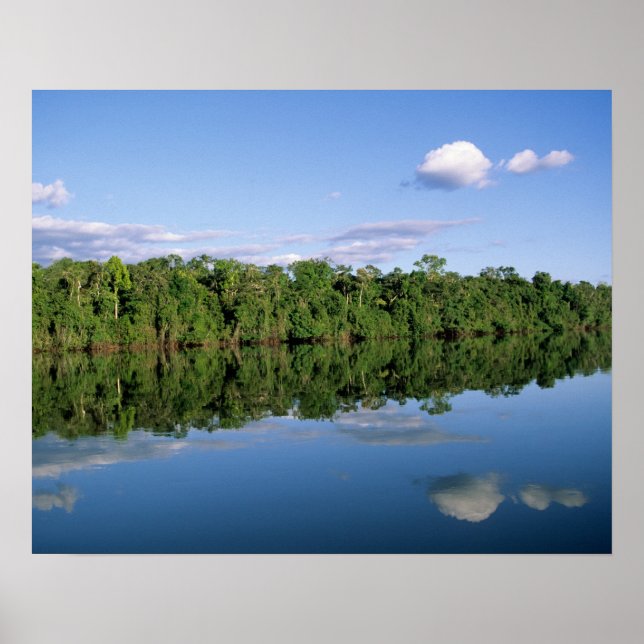 Poster État du Mato Grosso, Amazonie, Brésil. Forêt (Devant)