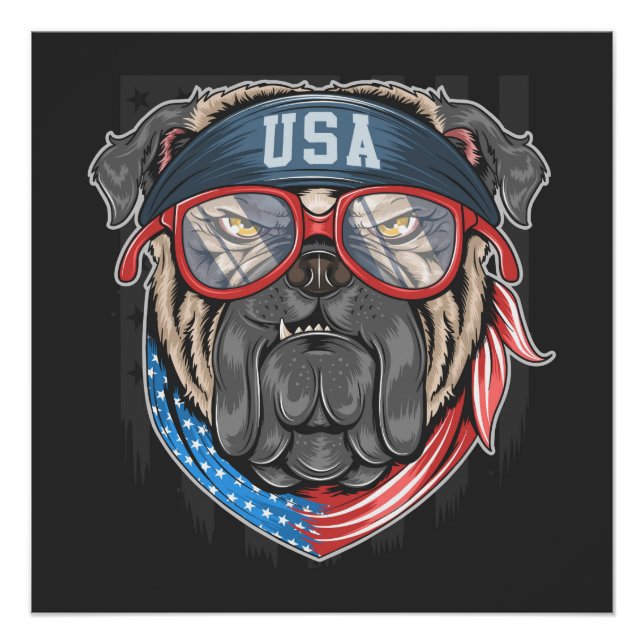 Poster États-Unis Bulldog (Devant)