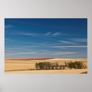 Poster États-Unis, Dakota du Sud, Murdo, Paysage de Prair