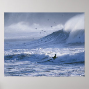 Poster États-Unis, État de Washington, La Push. Kayak