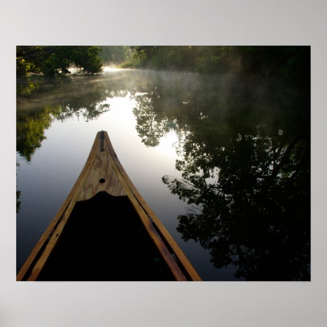 Poster États-Unis, Floride, Forêt nationale d'Ocala, Alex (Devant)