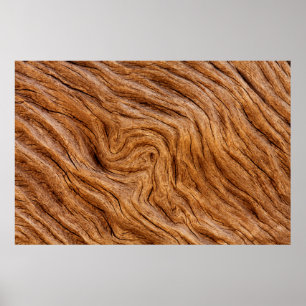 Poster États-Unis, Géorgie, Jekyll Island, Abstract
