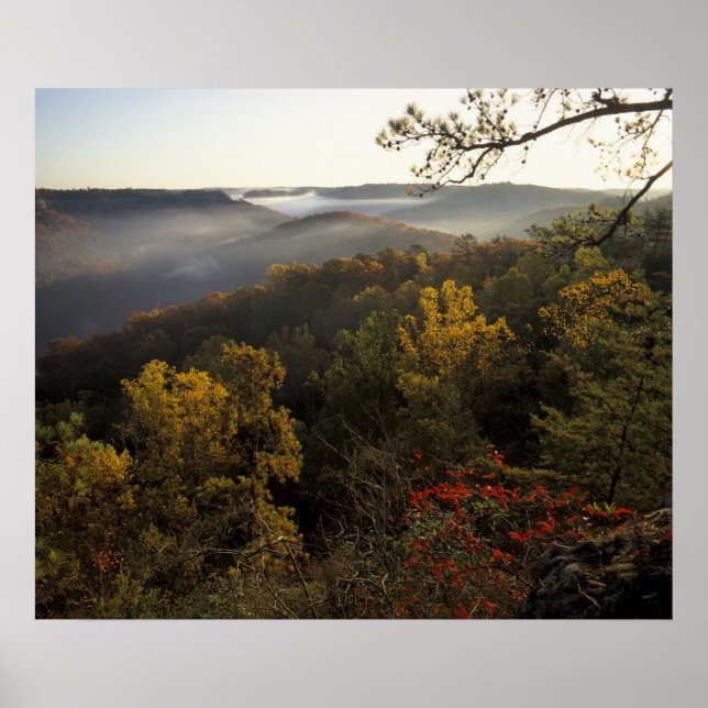 Poster États-Unis, Kentucky. Forêt nationale Daniel Boone (Devant)