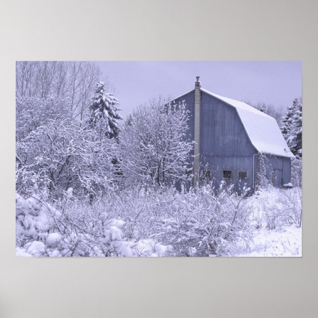 Poster États-Unis, Michigan, Rochester Hills. Bleu enneig (Devant)
