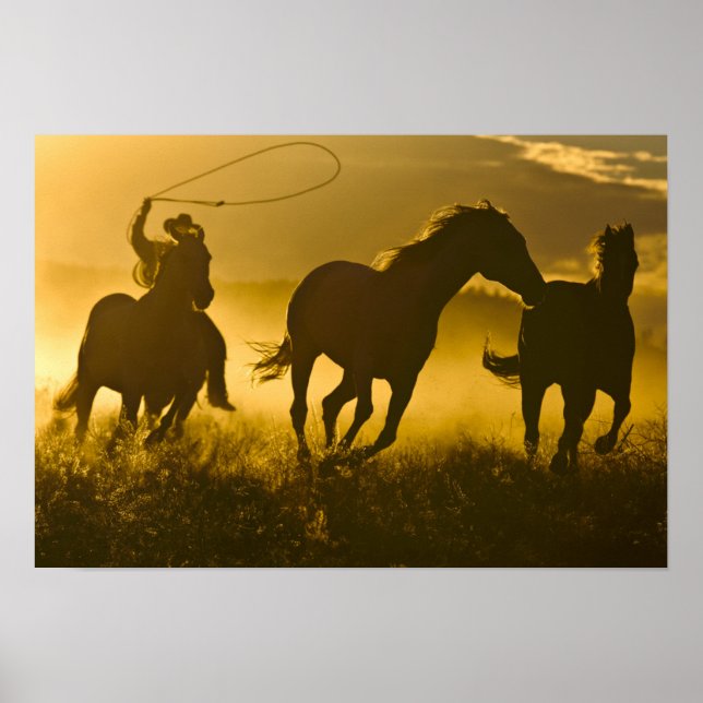 Poster États-Unis, Oregon, Seneca, Ponderosa Ranch. (Devant)