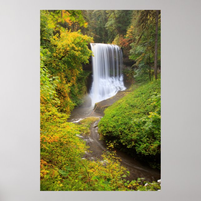Poster États-Unis, Oregon, Silver Falls State Park 3 (Devant)