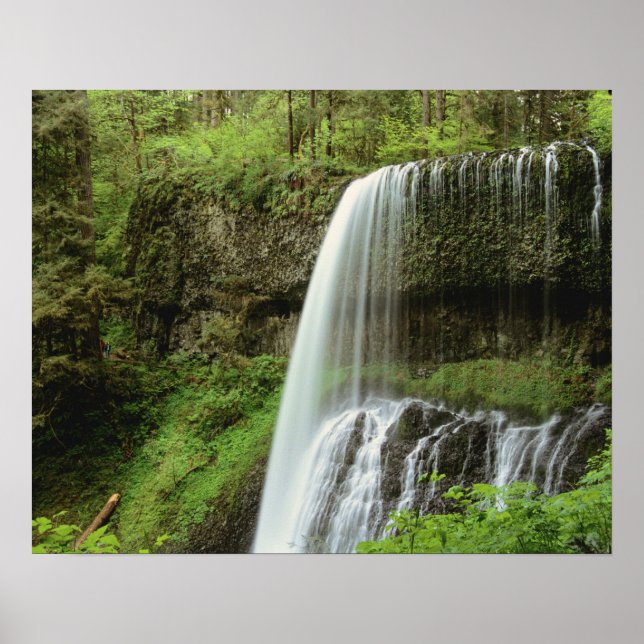 Poster États-Unis, Oregon, Silver Falls State Park. Infér (Devant)