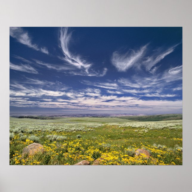 Poster États-Unis, Oregon, Steens Mountain. Le printemps  (Devant)