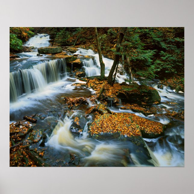 Poster États-Unis, Pennsylvanie, Parc d'État de Ricketts  (Devant)