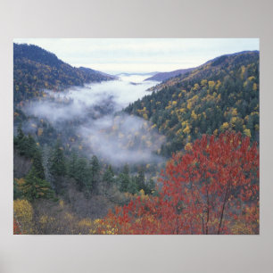 Poster États-Unis, Tennessee, Great Smokey Mountains Nati