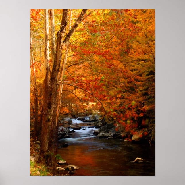 Poster États-Unis, Tennessee. Rushing Mountain Creek (Devant)