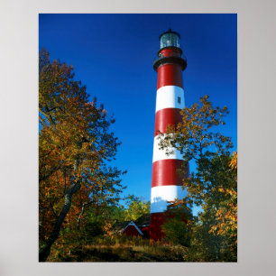 Poster États-Unis, Virginie, île d'Assateague, Chincoteag