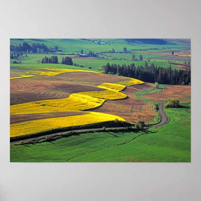 Poster États-Unis, Washington, Palouse, comté de Whitman  (Devant)