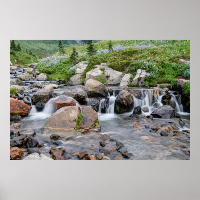 Poster États-Unis, Washington, Parc national du mont Rain (Devant)
