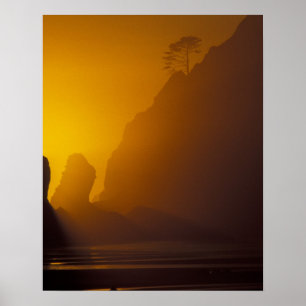 Poster États-Unis, Washington, Parc national Olympique, C