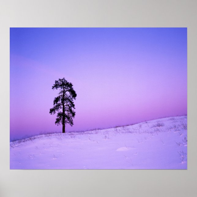 Poster États-Unis, Washington, Spokane County, Riverside (Devant)