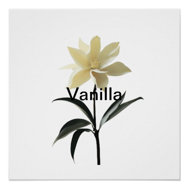 Poster Ethereal Magnolia Grace (Devant)