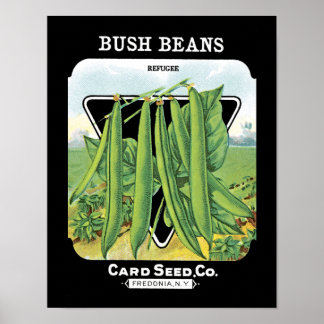 Poster Étiquette de paquets de semences de haricots Bush