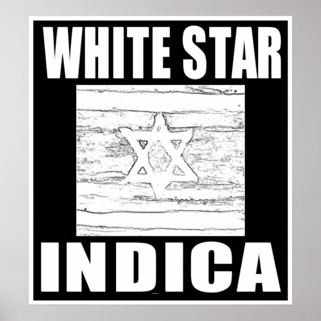 POSTER ÉTOILE BLANCHE INDICA (Devant)